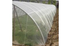 China Anti Garden Netting Fine Mesh Crops Protection Netting supplier