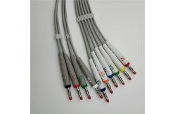 China FUKUDA 10 Lead Ecg Cable With Leadwires , 3.6M Electrocardiogram Leads supplier