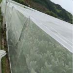 3m Insect Net Mesh 50 Mesh To Protect Fruits Bug Mesh Netting