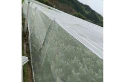 China 3m Insect Net Mesh 50 Mesh To Protect Fruits Bug Mesh Netting supplier