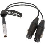 Alvin'S Cables XLR Breakout Audio Input Cable For Atomos Shogun Monitor Recorder 10 Pin To Dual XLR 3 Pin Female for sale