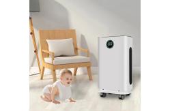 China HOMEFISH UV Humidifier Low Noise Air Purifier 430m3/H supplier