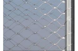 China Diamond Animal Wire Mesh Stainless Steel With Polishing Surface Treatment supplier