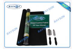China 3% UV Sunlight Permeability Non Woven Landscape Fabric With  Certificate supplier