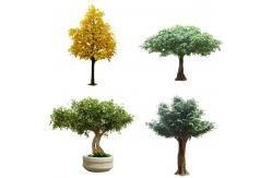 China H400cm Landscape Artificial Trees , Artificial Pittosporum For Amusement Park supplier