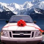 15“ large size wedding Pom Pom bow in thick PP or PET materials for decoration on a car for sale