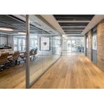 Acoustic Frameless Double Glazed Partition System Transparency Partitioning System for sale