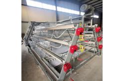 China One Day Old Baby Chick Cage With Full Automatic System supplier