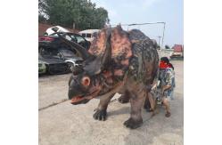China Custom Realistic Adult Triceratops Dinosaur Costume For Two Performers supplier
