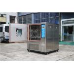 Programmable Constant Laboratory Temperature Humidity Controlled Cabinets