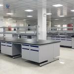 Grey Finish Lab Bench Laboratory Bench with Load Capacity 200-250 Kg and Customized Configuration for sale
