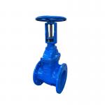 PN16 Rising Stem Soft Sealing Gate Valves ANSI 150LB 316 Stainless Steel Cast Iron