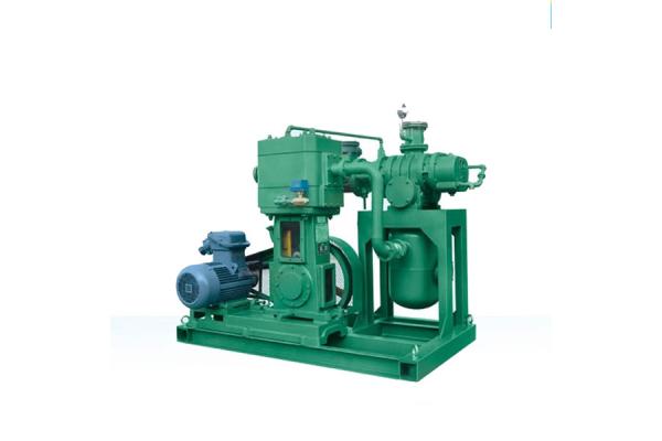 Roots oil-free vertical reciprocating vacuum unit
