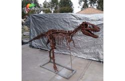China Personalized customization Dinosaur Bone Replicas T Rex Skull Replica supplier