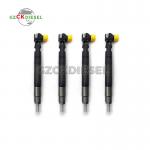 New Fuel Injector EJBR00301D A6710170121 for Delphi Engine