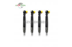 China New Fuel Injector EJBR00301D A6710170121 for Delphi Engine supplier