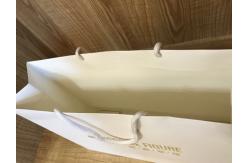 China Custom CMYK Printing Cardboard Shopping Bags With Nylon Rope Handle supplier