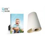 Waterproof Coating Giclee Eco Solvent Media , 260gsm Silky Polyester Glossy Inkjet Canvas Rolls for sale