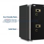 Dual-Compartment Home Safe Box Dual Alarm Large Private Inner Lock Box