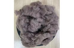 China Semi-dull Luster Recycled Polyester Staple Fiber 5D 32mm Camel supplier