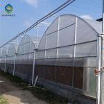 4m Large Double Arch Polyethylene Film Greenhouse Agriculture Pressure for sale
