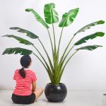 200cm Traveller'S Palm Artificial Landscape Trees For Low Maintenance Evergreen Plants