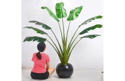 China 200cm Traveller'S Palm Artificial Landscape Trees For Low Maintenance Evergreen Plants supplier