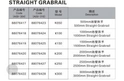 China SS304 Wall Straight 1.0mm Swimming Pool Grab Rail supplier