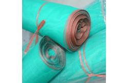 China 1-2m Plastic Garden Mesh Netting For Fruit Trees And Vegetables supplier