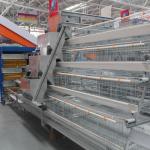 4 Tiers Automatic Battery Layer Poultry Cage Steel Wire Mesh for sale