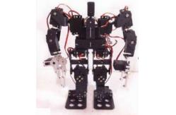 China Diy Arduino DOF Robot Remote Control Robot 15DOF Humanoid Robot supplier