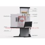250kg Disabled Elder Wheelchair Vertical Platform Lift With Aluminum Alloy for sale