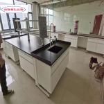 As Drawing Number of Shelves Number of Doors Chemistry Lab Bench for sale