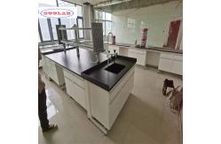 China As Drawing Number of Shelves Number of Doors Chemistry Lab Bench supplier