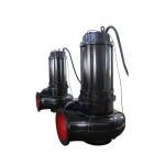 Large Flow Double Suction Sewer Pump , Industrial Sewage Pump 1 Hp