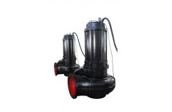 China Large Flow Double Suction Sewer Pump , Industrial Sewage Pump 1 Hp supplier