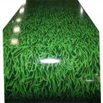 ASTM A755M Ppgi Prepainted Gi Steel Coil Popular Little Grass Pattern for sale