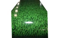 China ASTM A755M Ppgi Prepainted Gi Steel Coil Popular Little Grass Pattern supplier