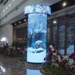 320*160 Flexible Led Display Screen Video Wall P1.538 High Refresh for sale