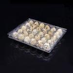 PET Plastic Sheet Roll Reusable Quail Egg Tray Plastic Transparent