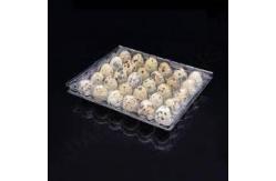 China PET Plastic Sheet Roll Reusable Quail Egg Tray Plastic Transparent supplier