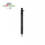 Diesel Fuel Injector EJBR04601D A6650170321 for Euro 3 Engine