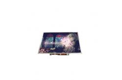 China B141PW01 V0  14.1 inch 1440*900 TFT-LCD SCREEN LCD Display supplier