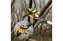 China Telescopic Long Hand High Reach Tree Loppers Garden Trimming Scissors 350G supplier
