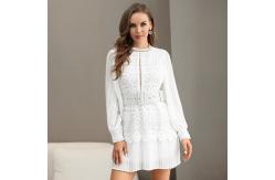 China Polyester Round Neck Ladies Lace Dresses Long Sleeves Embroidered Lace Mini Dress supplier