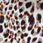 180d Cey 1/2 Twill Fashion Print Fabric Digital Printing Comfortable Wearing for sale