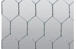 China Galvanized Hexagonal Wire Netting 3feet breeding chicken coop wire mesh supplier