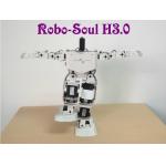 Robotics equipment Large torque digital servo Support 17 DOF Humanoid robot for sale