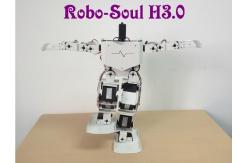 China Robotics equipment Large torque digital servo Support 17 DOF Humanoid robot supplier