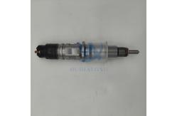 China 0445124019 5289266 Fuel Injector for Cummins QSB4.5L QSB6.7L Engine supplier